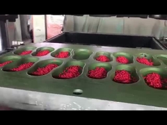 วัสดุ EVA คุณภาพดี สีสัน สะสมกระสุนทํารองเท้า